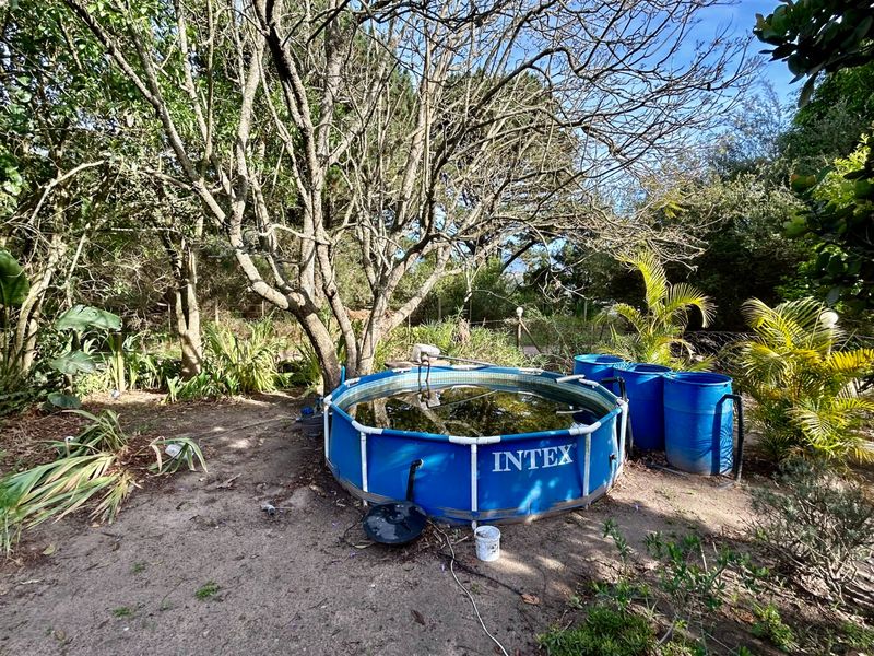 Farm For Sale in Hansmoeskraal AH - Photo 7