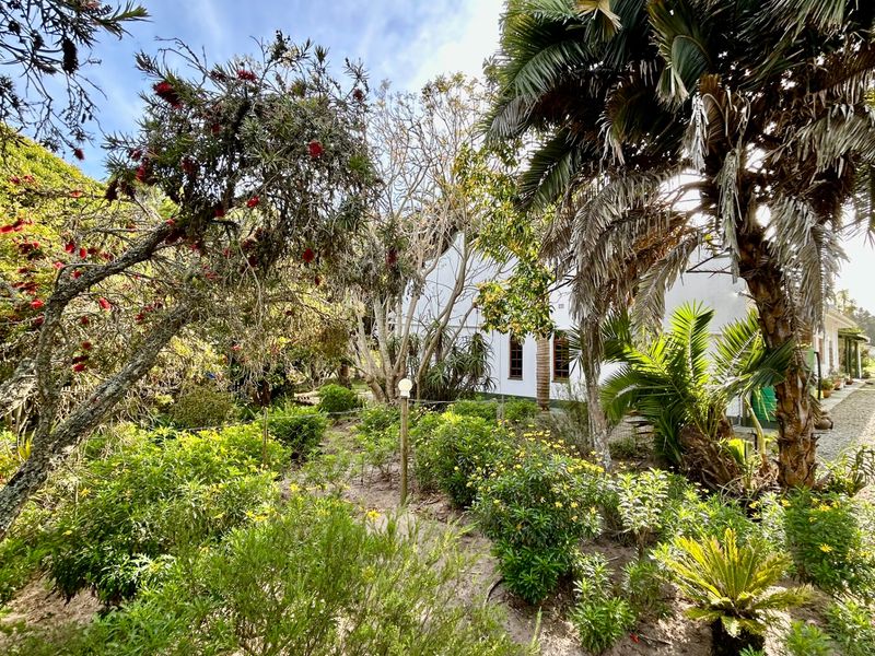 Farm For Sale in Hansmoeskraal AH - Photo 10