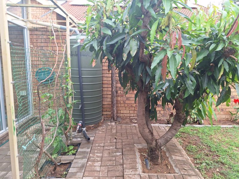 House For Sale in Modimolle Central - Photo 8