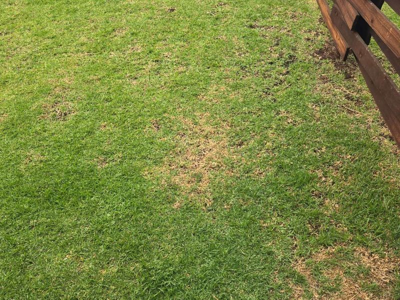 Apartment For Sale in Greencreek Lifestlye Estate - Photo 4