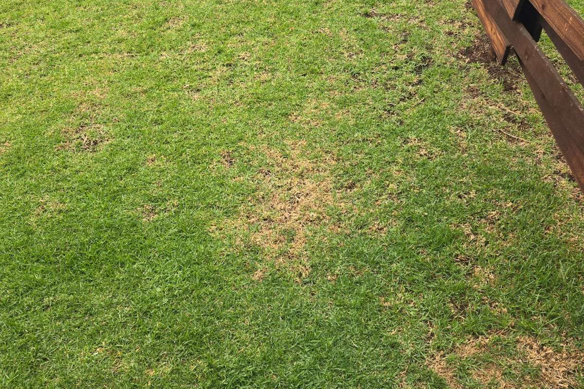 Apartment For Sale in Greencreek Lifestlye Estate - Photo 4