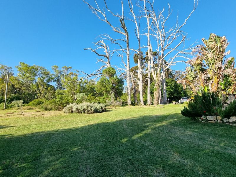 Farm For Sale in Stilbaai Rural - Photo 5