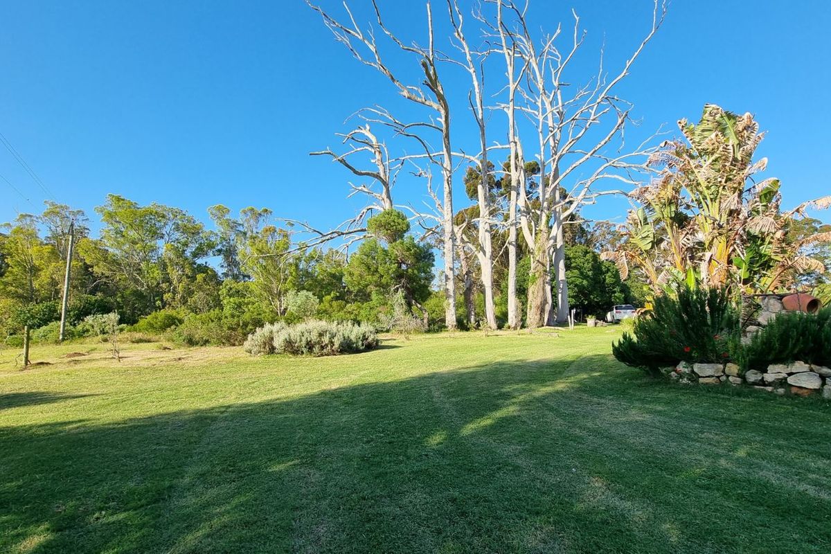 Farm For Sale in Stilbaai Rural - Photo 5