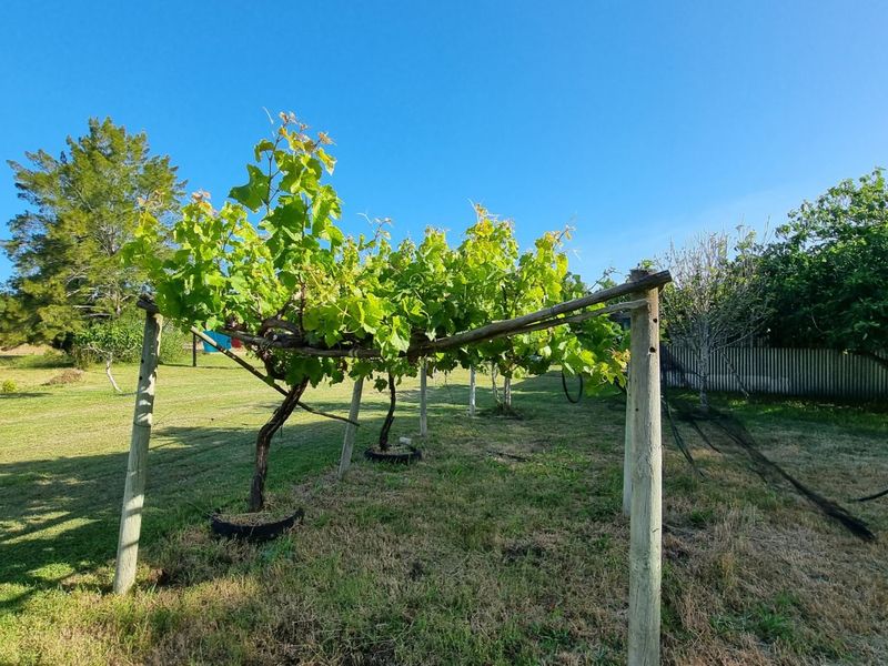 Farm For Sale in Stilbaai Rural - Photo 7