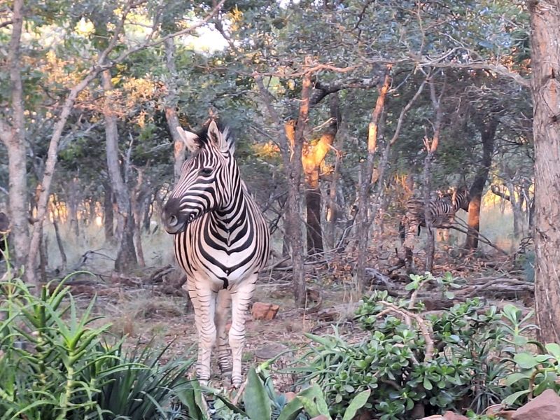 Vacant Land Residential For Sale in Koro Creek Golf Estate - Photo 4