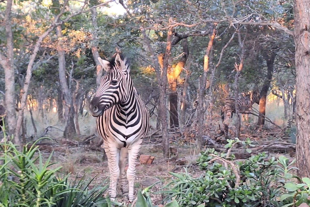 Vacant Land Residential For Sale in Koro Creek Golf Estate - Photo 4