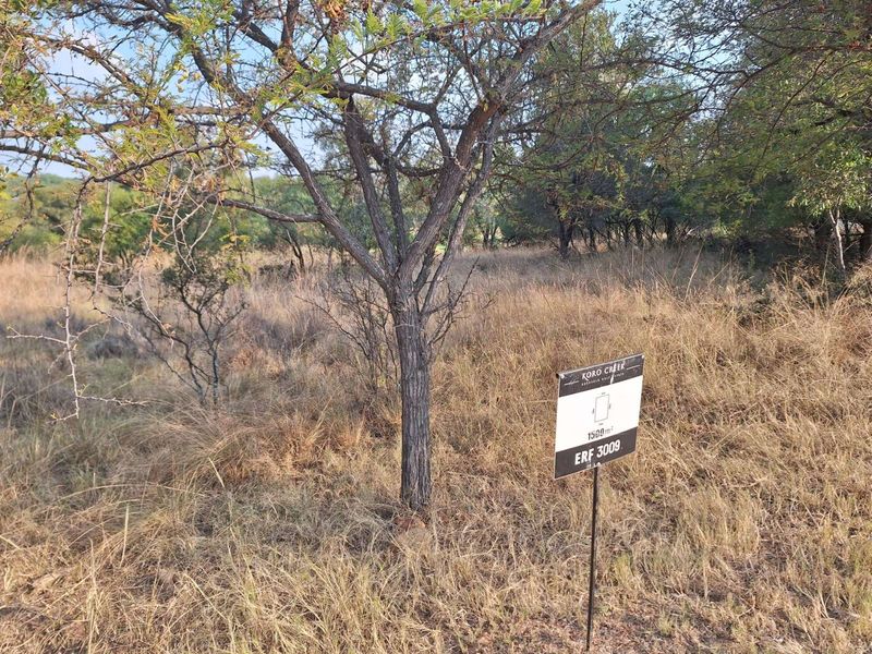 Vacant Land Residential For Sale in Koro Creek Golf Estate - Photo 2