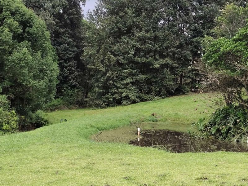 House For Sale in Waterfall - Photo 9