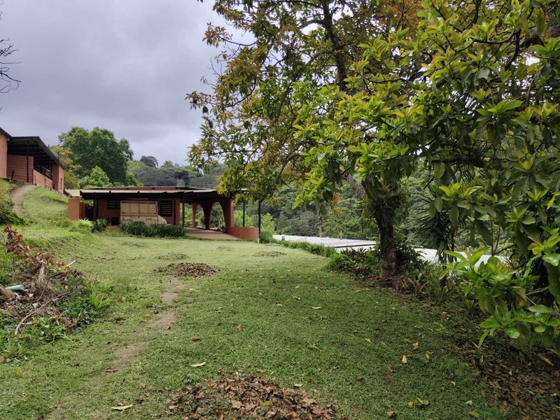 House For Sale in Waterfall - Photo 8