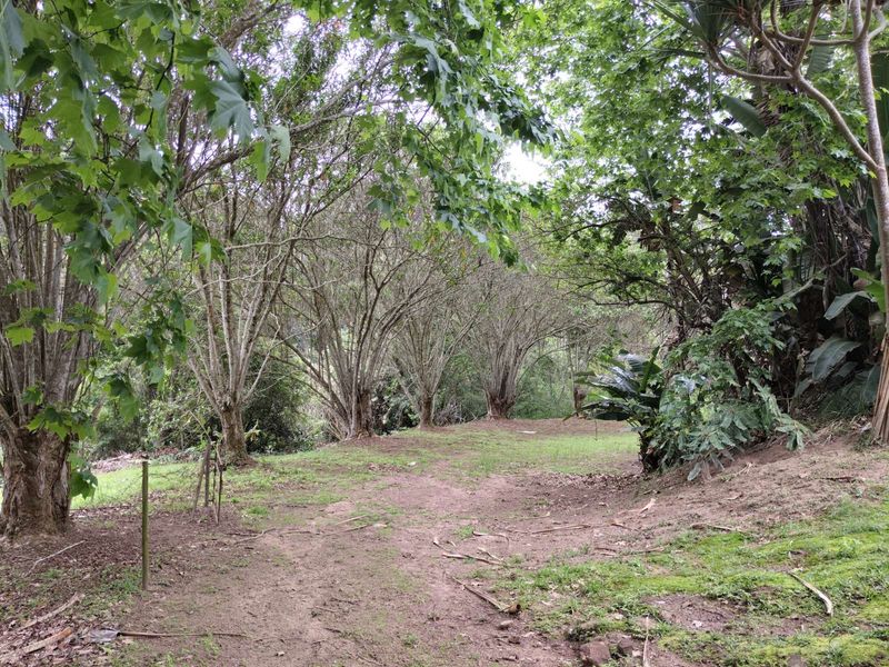 House For Sale in Waterfall - Photo 3