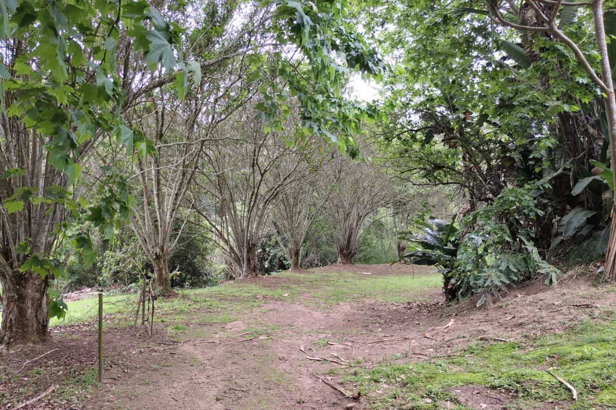 House For Sale in Waterfall - Photo 3