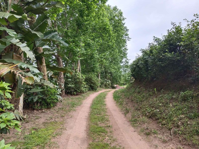 House For Sale in Waterfall - Photo 2