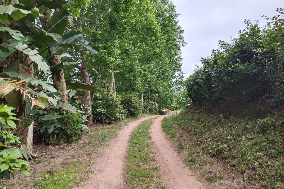 House For Sale in Waterfall - Photo 2