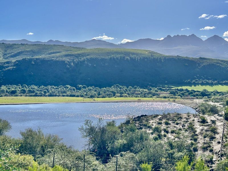 Farm For Sale in George Rural - Photo 5