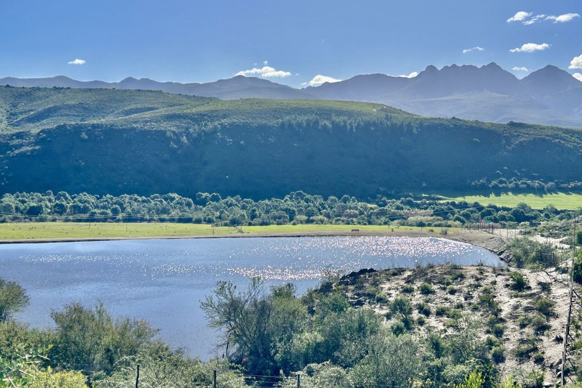 Farm For Sale in George Rural - Photo 5