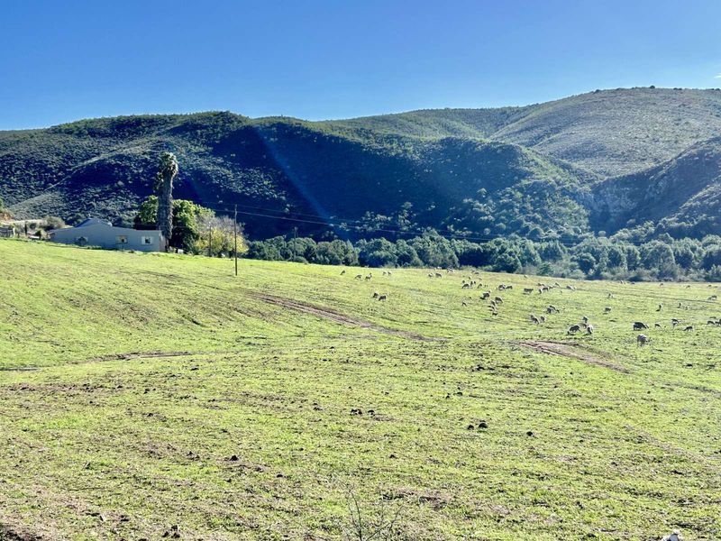 Farm For Sale in George Rural - Photo 10