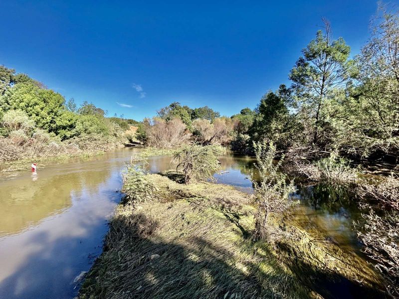 Farm For Sale in George Rural - Photo 7