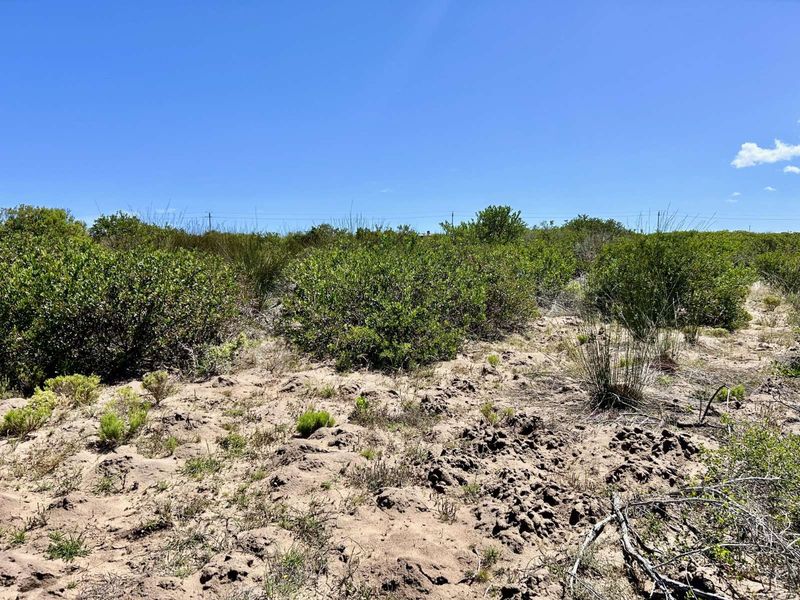 Vacant Land Residential For Sale in Gouritsmond Central - Photo 3