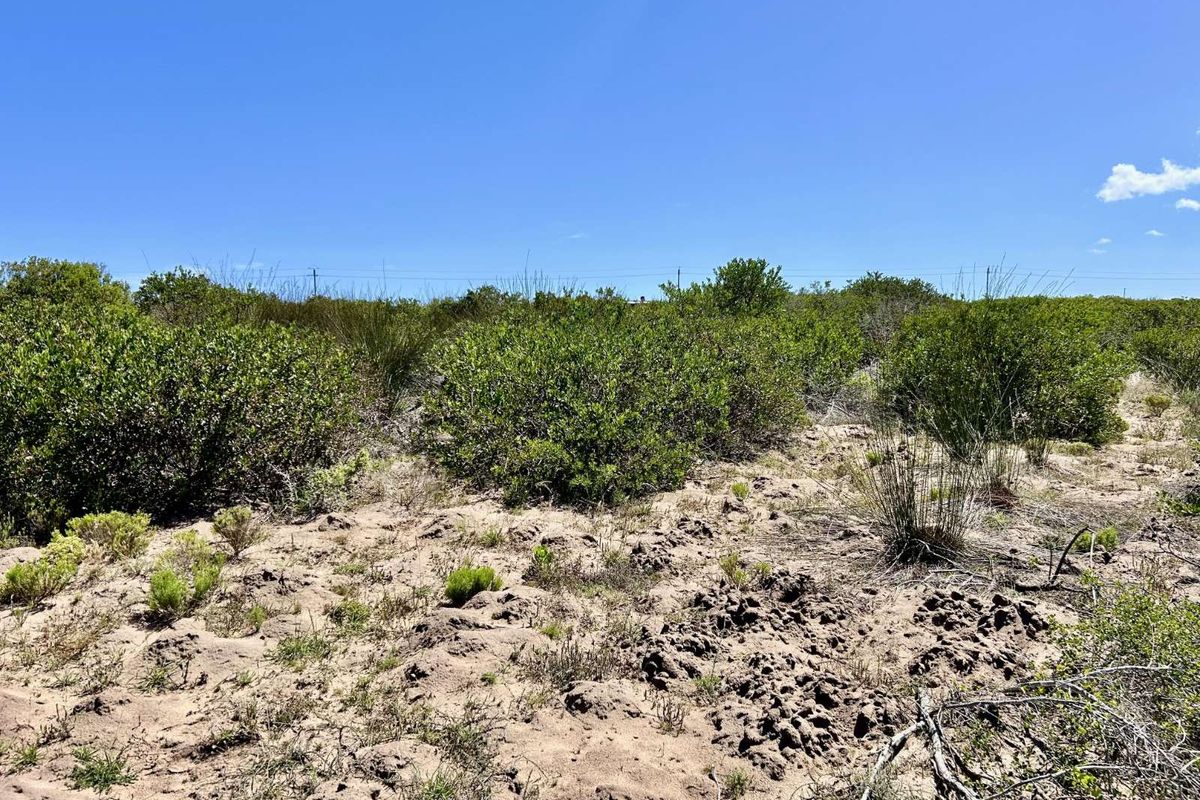 Vacant Land Residential For Sale in Gouritsmond Central - Photo 3