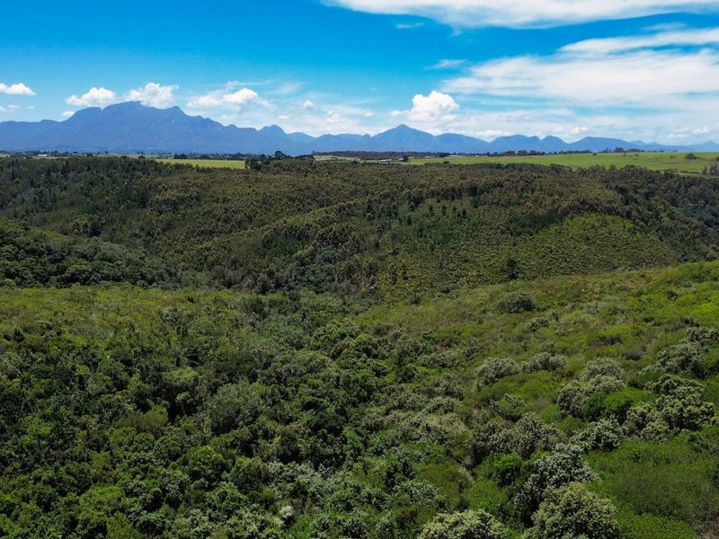 Vacant Land Residential For Sale in Oubaai - Photo 8