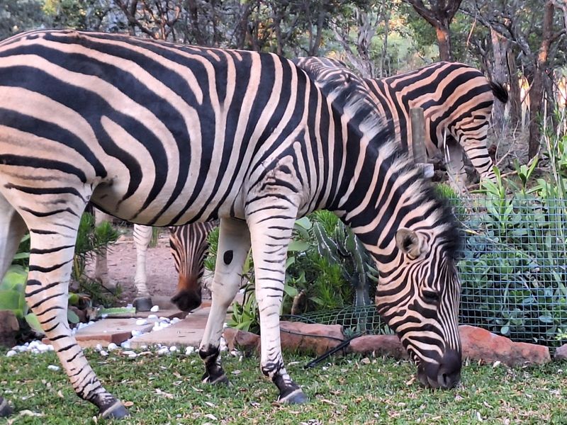 Vacant Land Residential For Sale in Koro Creek Golf Estate - Photo 2