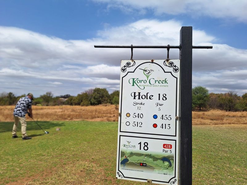 Vacant Land Residential For Sale in Koro Creek Golf Estate - Photo 3