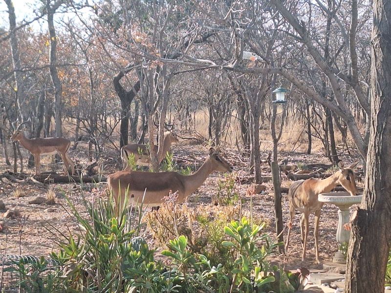 Vacant Land Residential For Sale in Koro Creek Golf Estate - Photo 4