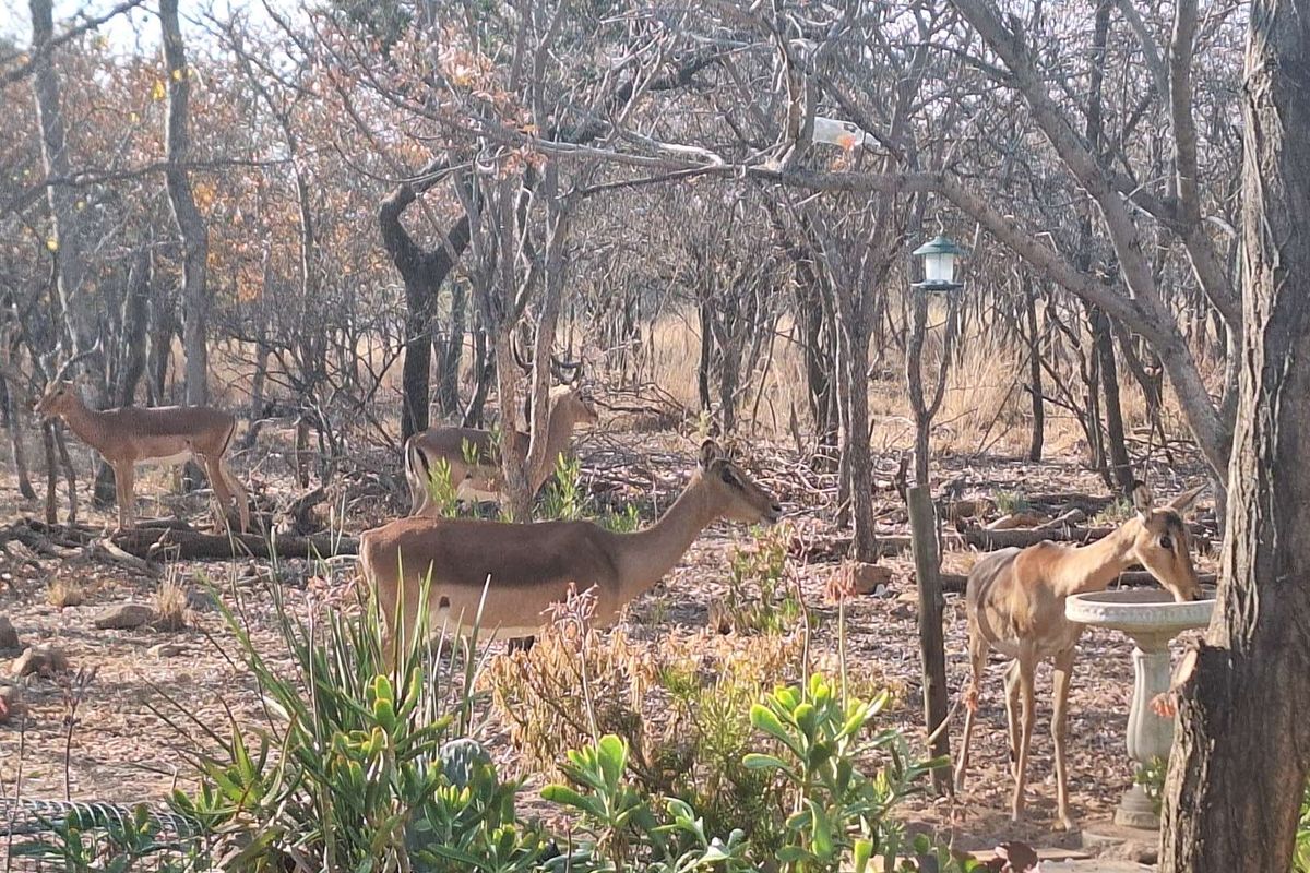 Vacant Land Residential For Sale in Koro Creek Golf Estate - Photo 4