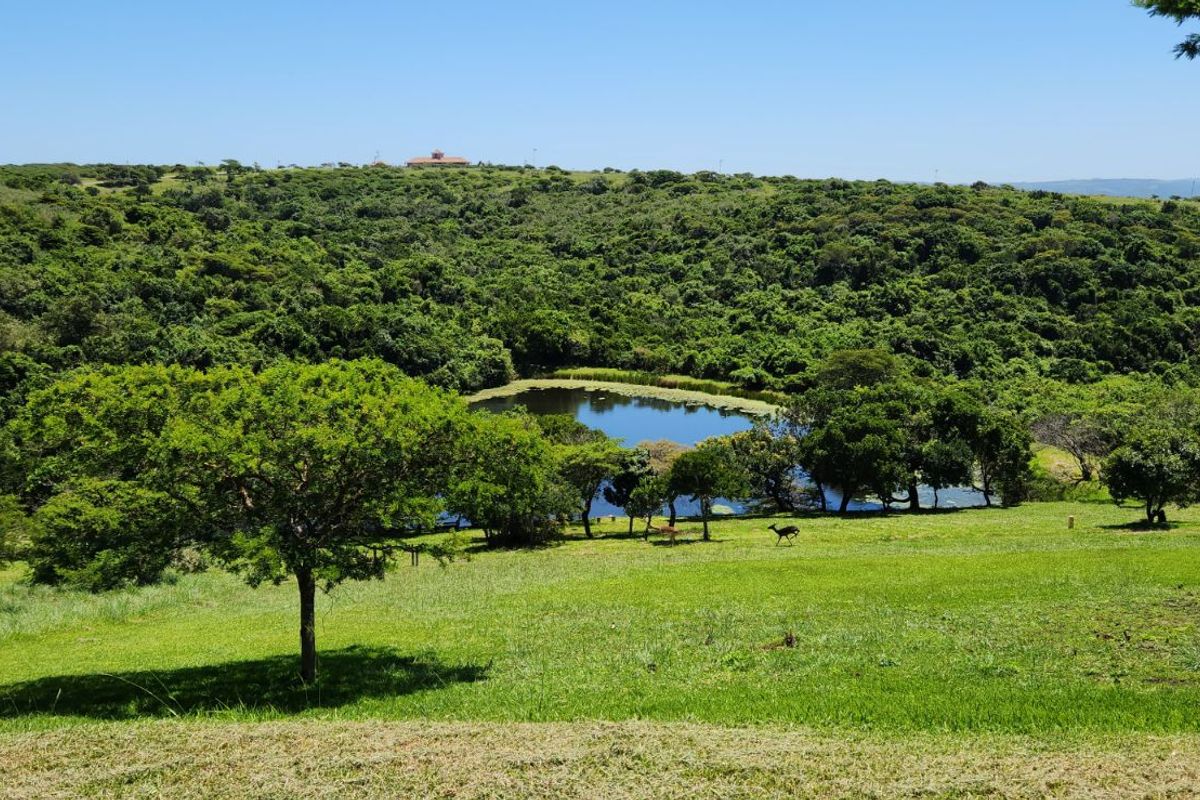Vacant Land Residential For Sale in Khamanga Bay - Photo 5