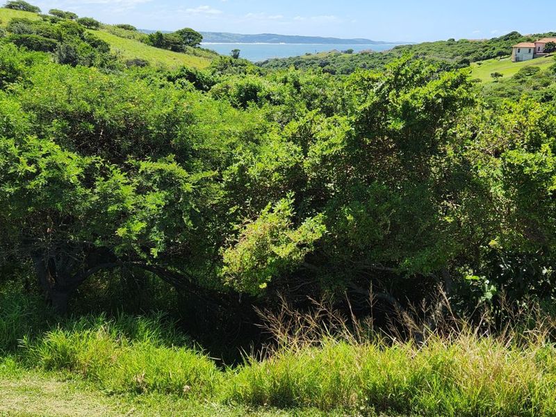 Vacant Land Residential For Sale in Khamanga Bay - Photo 6