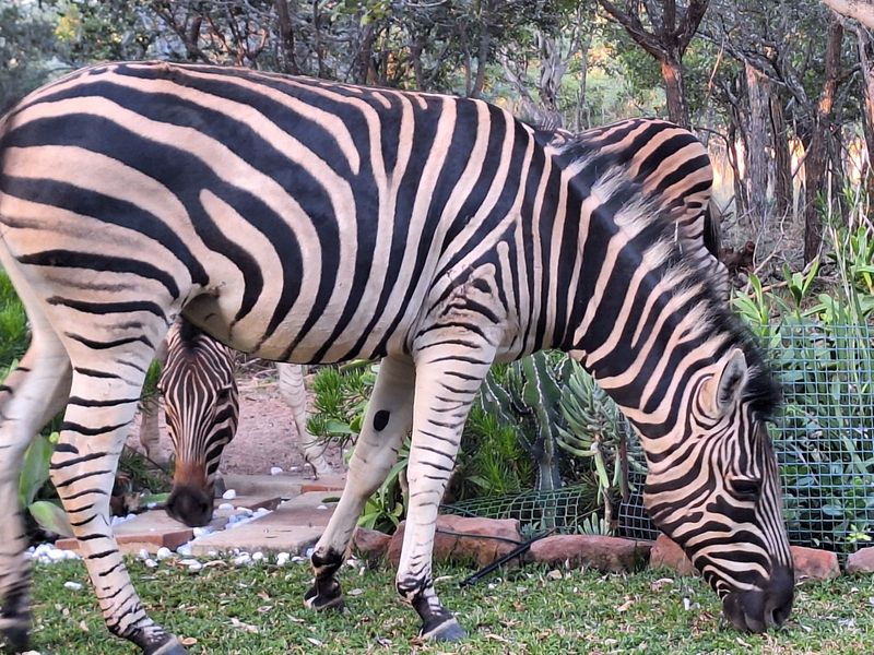 Vacant Land Residential For Sale in Koro Creek Golf Estate - Photo 5