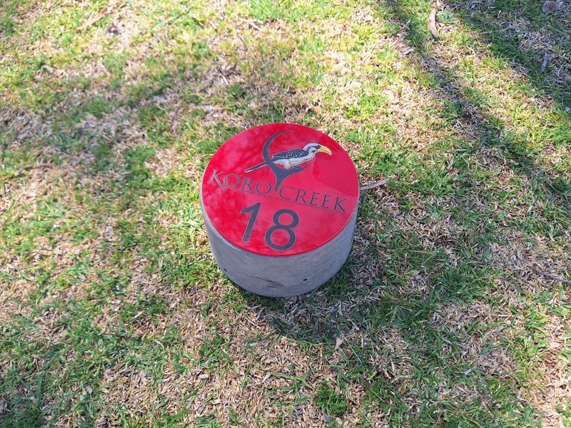 Vacant Land Residential For Sale in Koro Creek Golf Estate - Photo 3