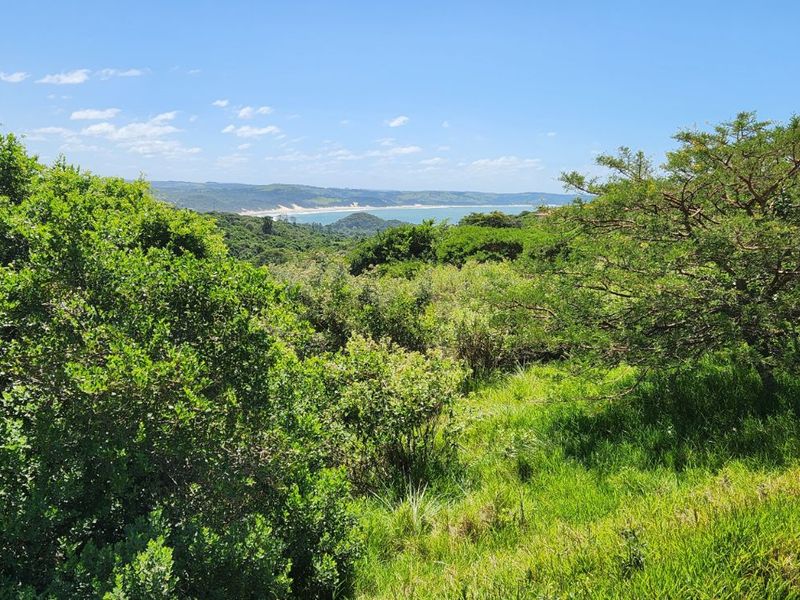 Vacant Land Residential For Sale in Khamanga Bay - Photo 3