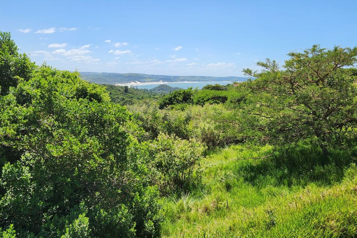 Vacant Land Residential For Sale in Khamanga Bay - Photo 3