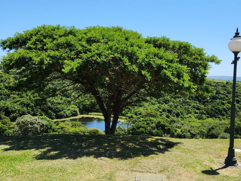 Vacant Land Residential For Sale in Khamanga Bay - Photo 5