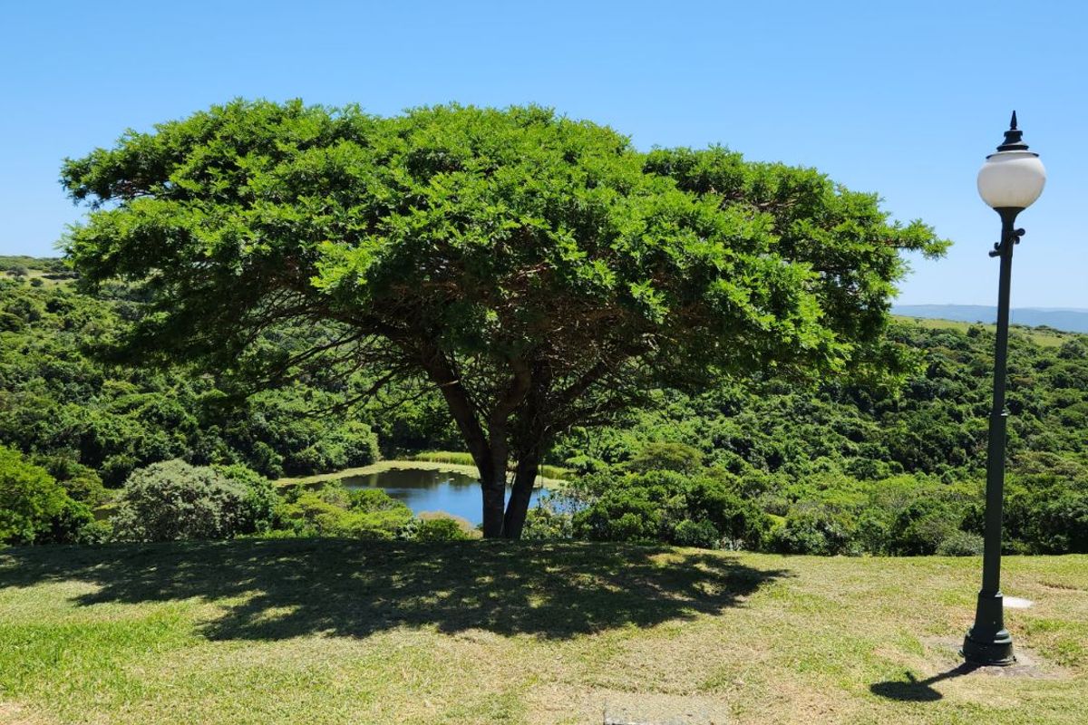 Vacant Land Residential For Sale in Khamanga Bay - Photo 5