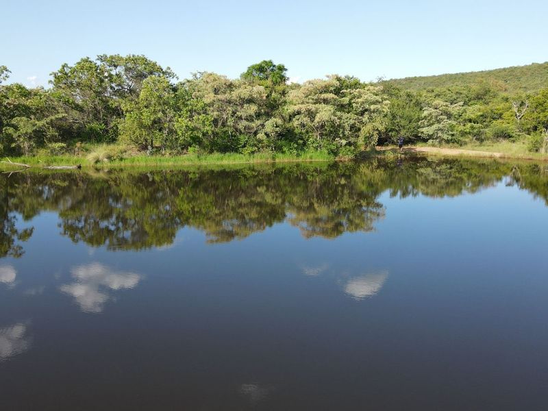 Farm For Sale in Vaalwater Central - Photo 5