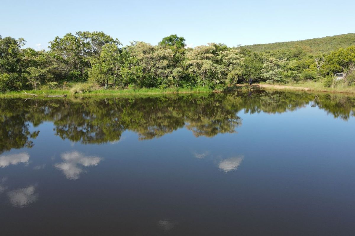 Farm For Sale in Vaalwater Central - Photo 5