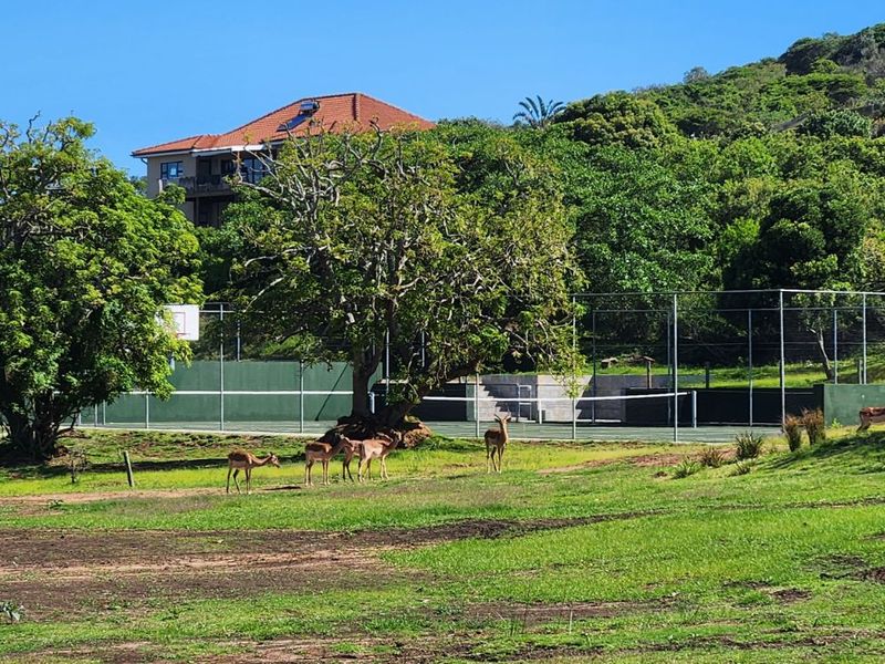 Vacant Land Residential For Sale in Khamanga Bay - Photo 4