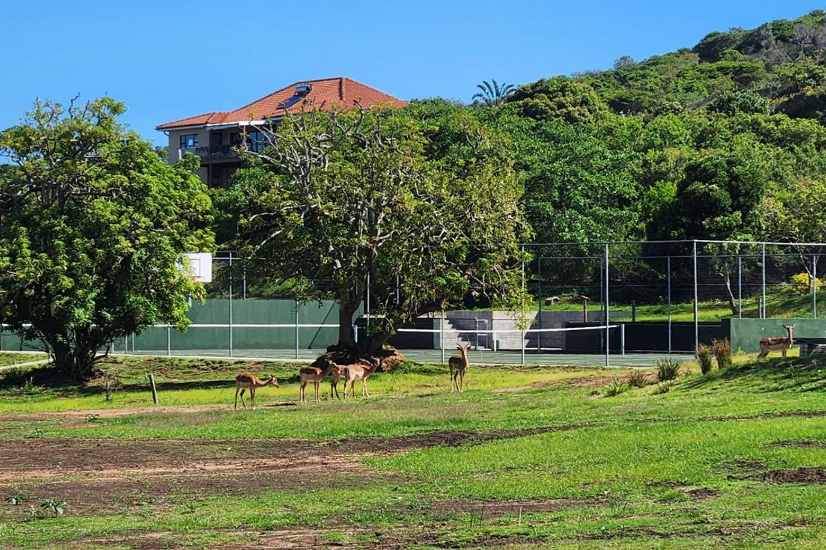 Vacant Land Residential For Sale in Khamanga Bay - Photo 4
