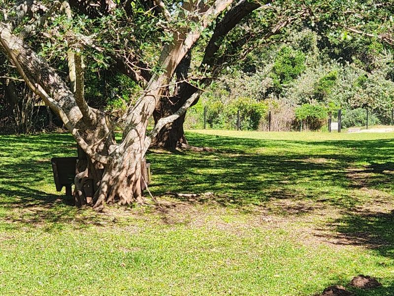 Vacant Land Residential For Sale in Khamanga Bay - Photo 9
