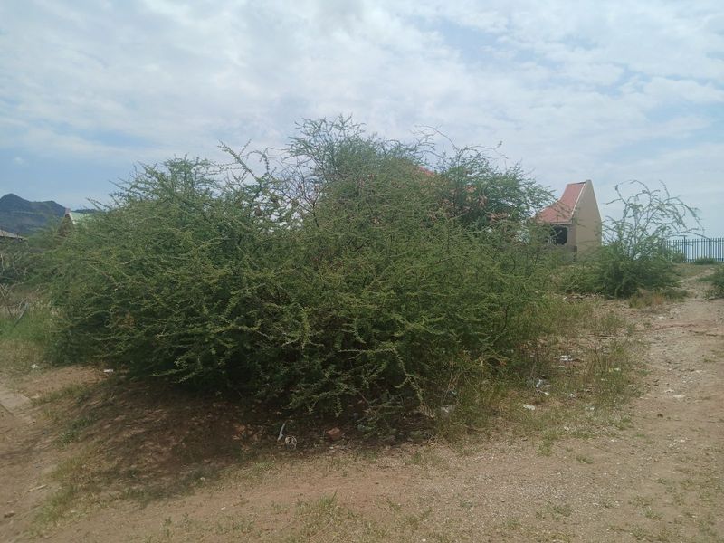 Vacant Land Residential For Sale in Burgersfort Central - Photo 4