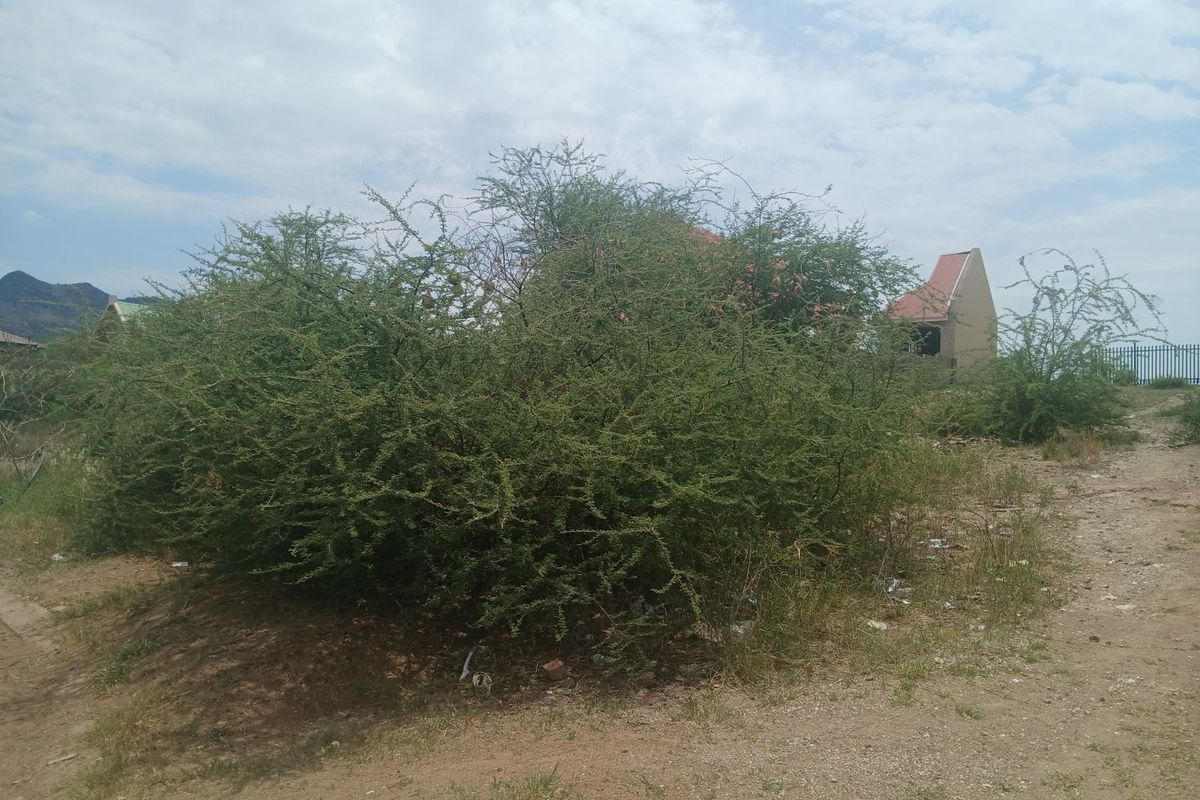 Vacant Land Residential For Sale in Burgersfort Central - Photo 4