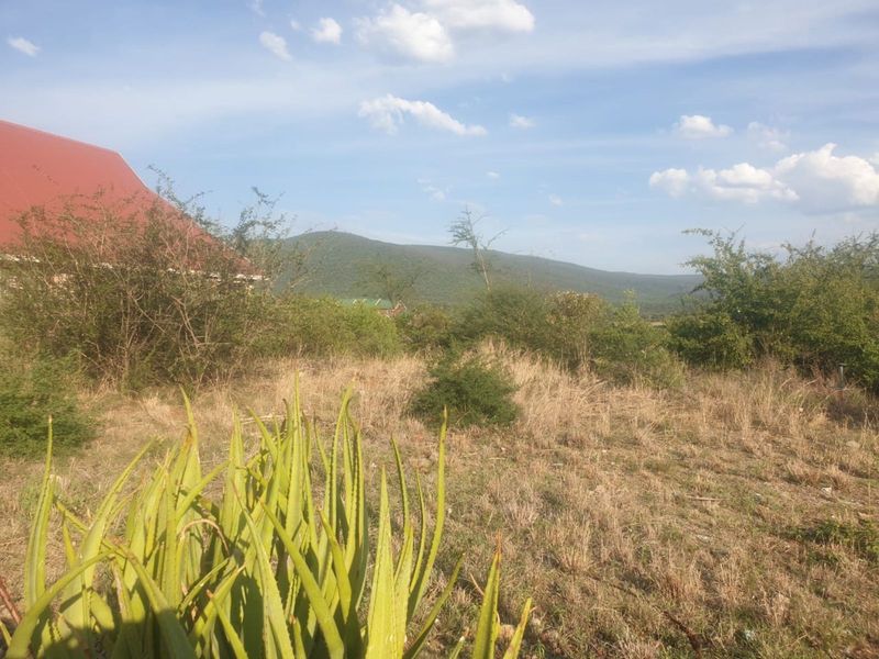 Vacant Land Residential For Sale in Burgersfort Central - Photo 3