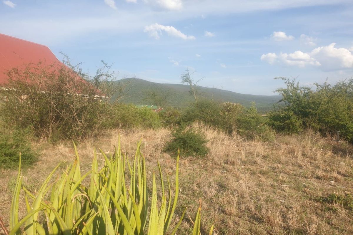 Vacant Land Residential For Sale in Burgersfort Central - Photo 3