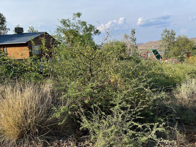 Vacant Land Residential For Sale in Vanderkloof - Photo 3