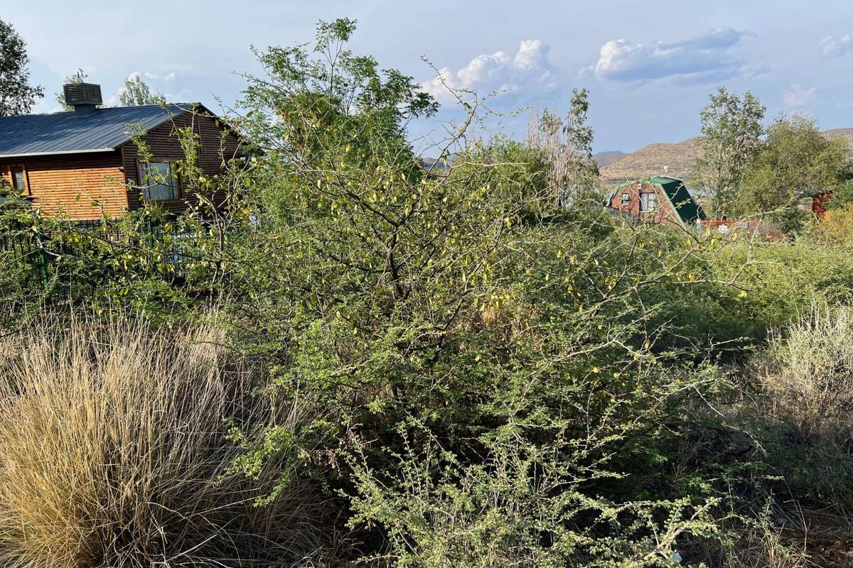 Vacant Land Residential For Sale in Vanderkloof - Photo 3