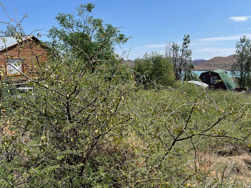 Vacant Land Residential For Sale in Vanderkloof - Photo 9