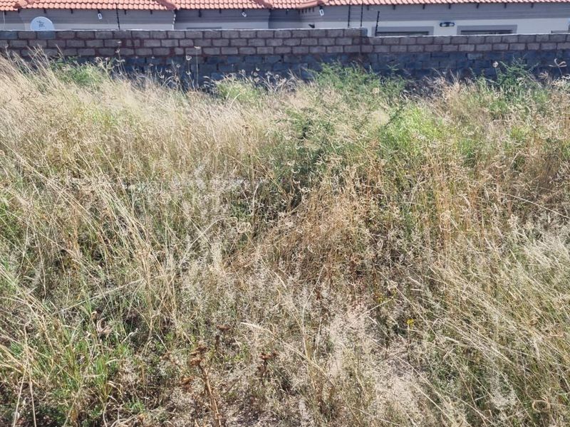 Vacant Land Residential For Sale in Motaganeng Estate - Photo 7