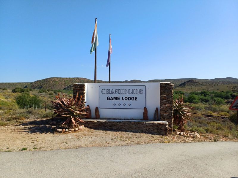 Vacant Land Residential For Sale in Oudtshoorn Rural - Photo 6